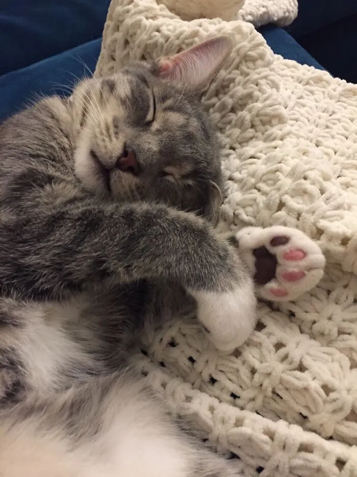 Georgie