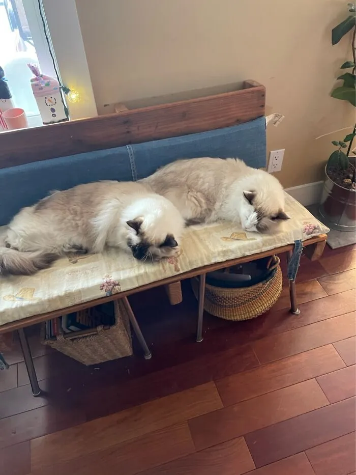 They Were Matching
