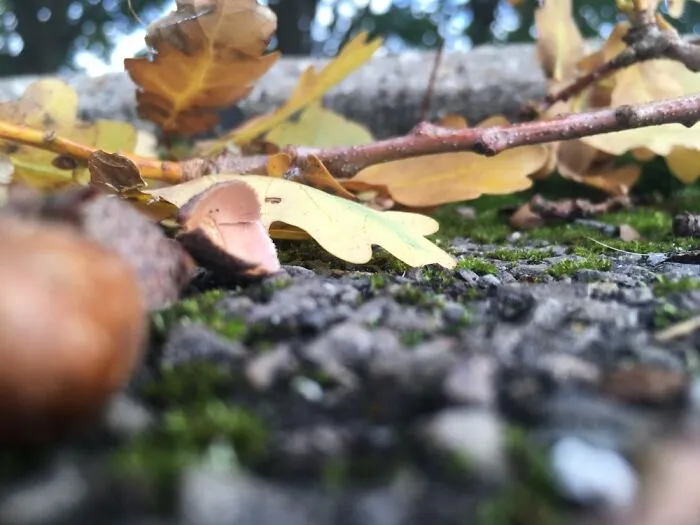 A Picture I Took Ages Ago