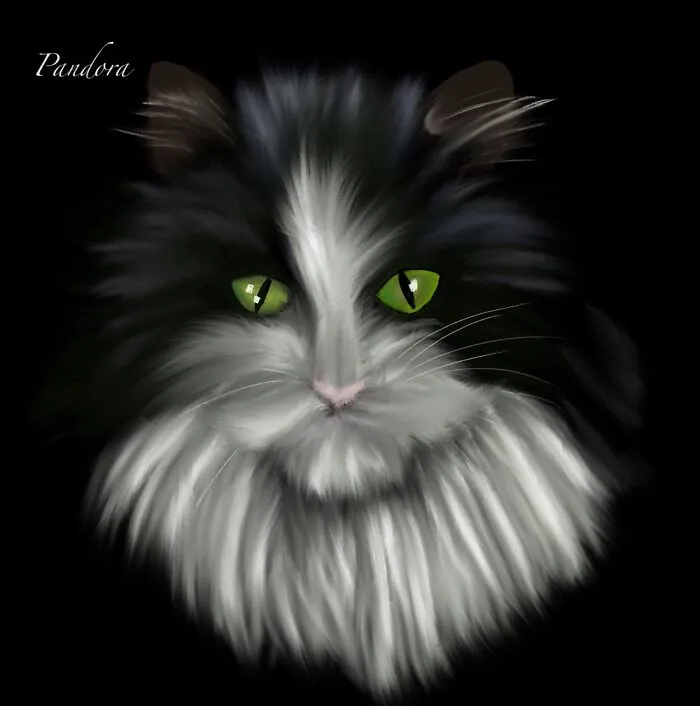 Pandora