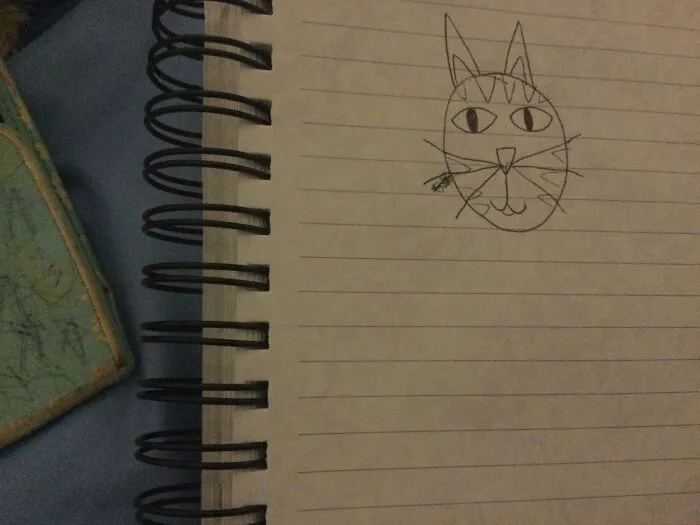 I Didn’t Feel Like Drawing The Rest Of It