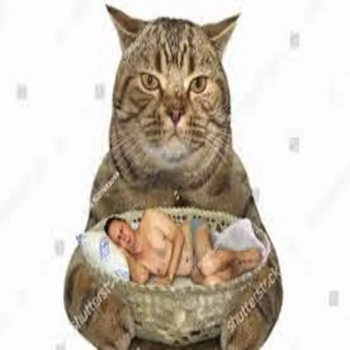 I Dont Even Know