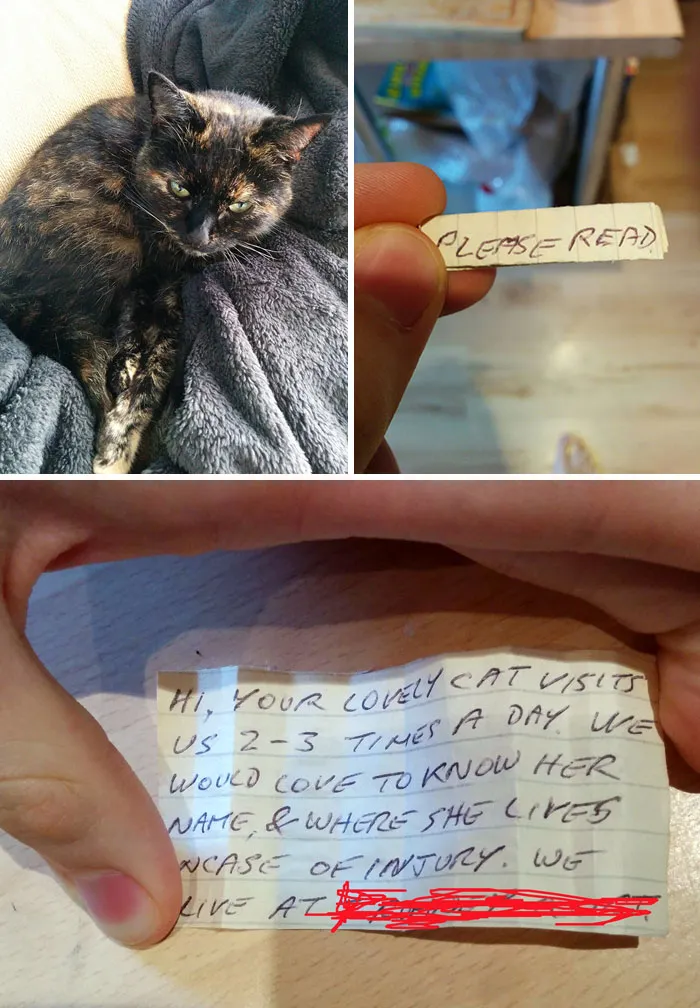 So I Found A Loop Of Paper Attached To My Cat's Collar This Morning. I'll Be Sure To Send Another Note Back