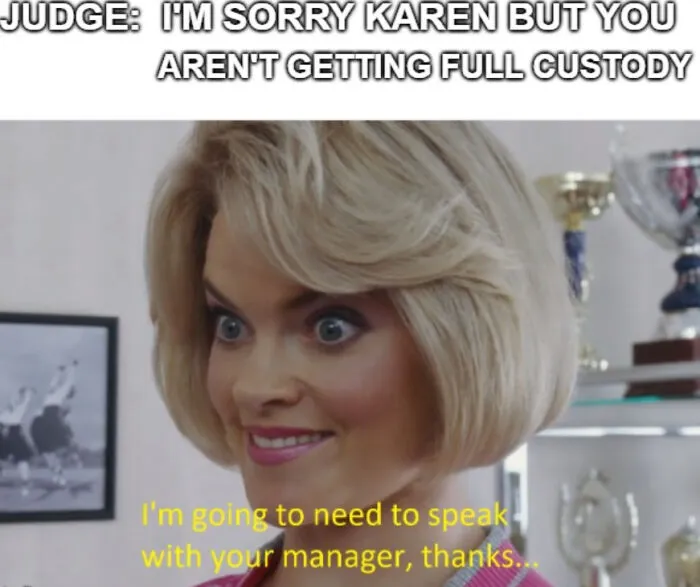 Karens In Kourt