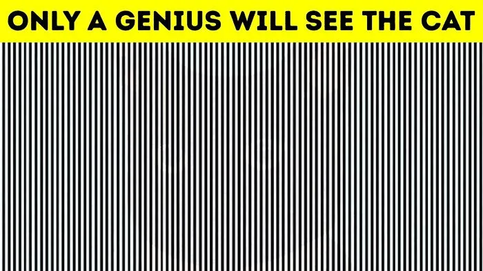 Im A Genius
