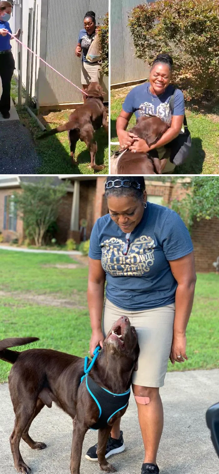 Twixx Has Been Missing 2 Years, And His Owner Thought He Was Dead, But Thanks To A Microchip They Reunited. Happy Tails Twixx