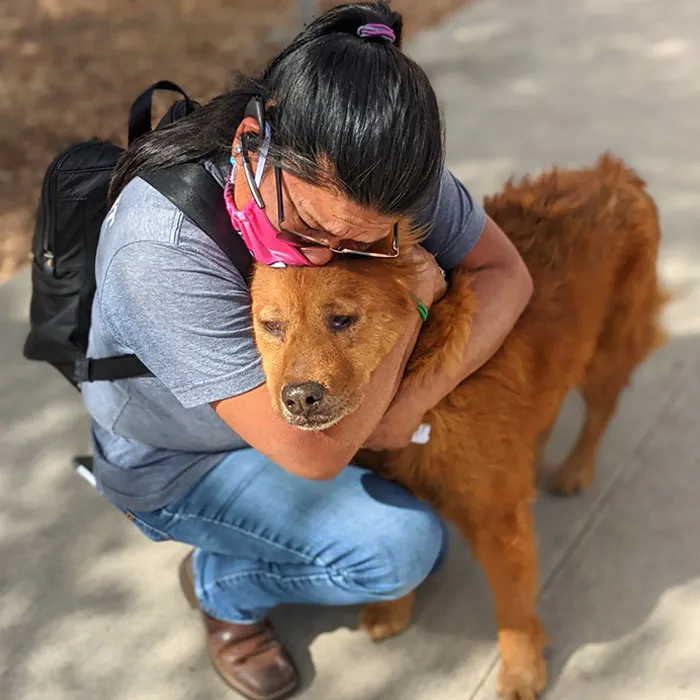 A Rescue Dog Named Honey Has Been Reunited With His Owner After A Seven-Year Separation