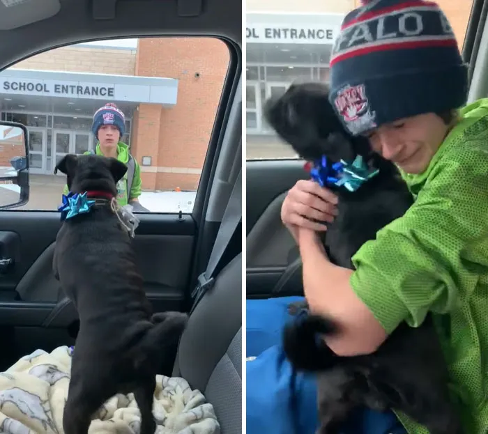 The Sweetest Reunion