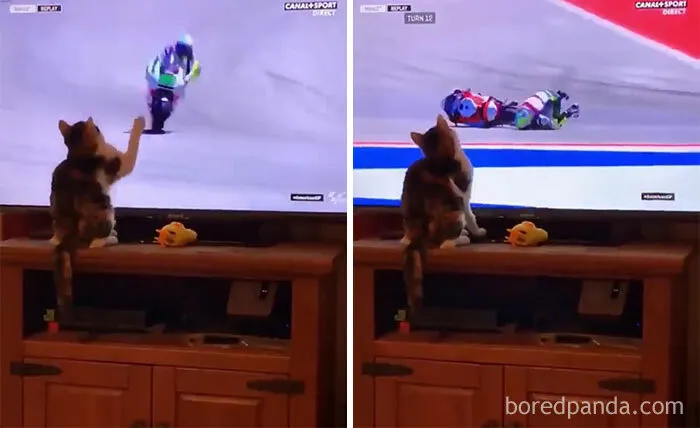 Down You Go