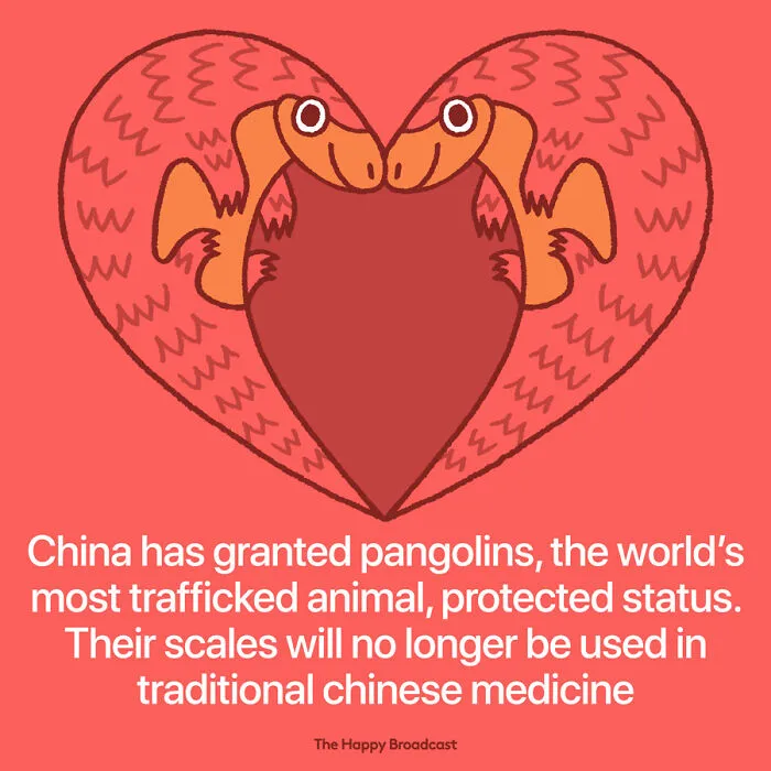 2020 Was A Hard Year, So This Man Illustrated The 40 Best News Of The Year To Outweigh The Negativity