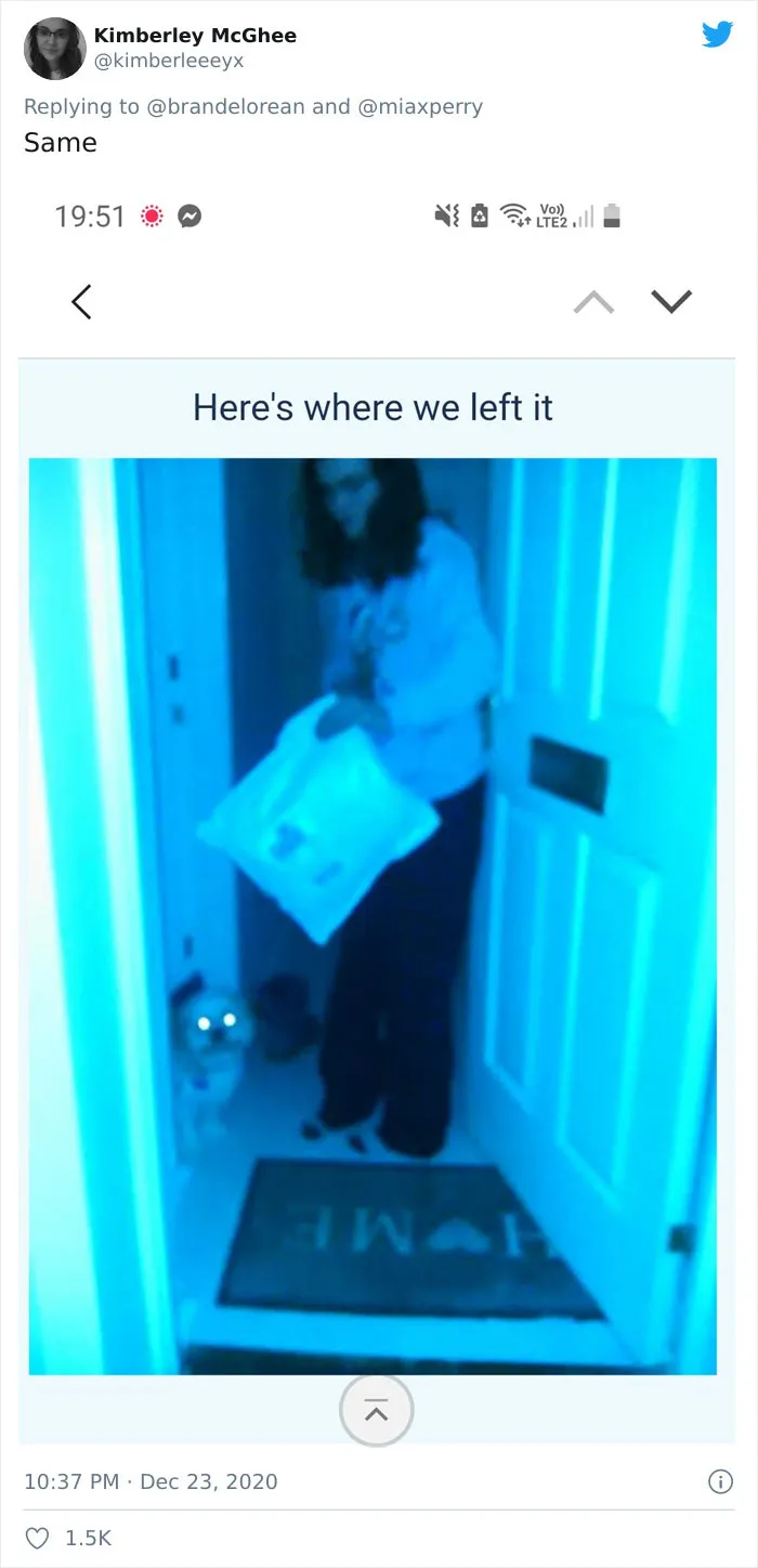 29 Pets Who Surprised Their Owners By "Collecting" Their Delivery