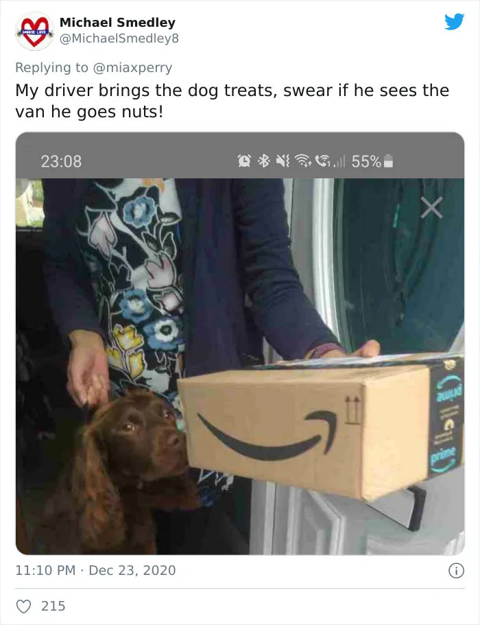 29 Pets Who Surprised Their Owners By "Collecting" Their Delivery