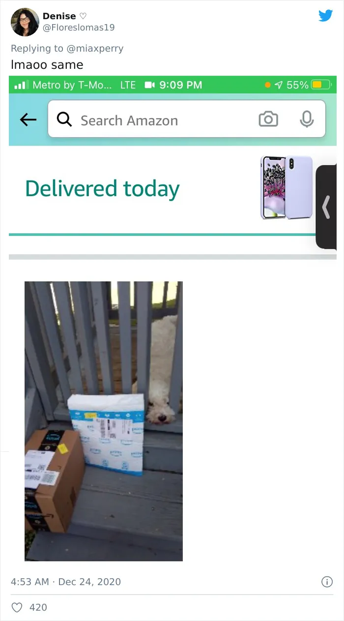 29 Pets Who Surprised Their Owners By "Collecting" Their Delivery