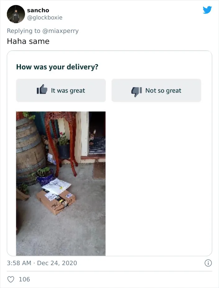 29 Pets Who Surprised Their Owners By "Collecting" Their Delivery