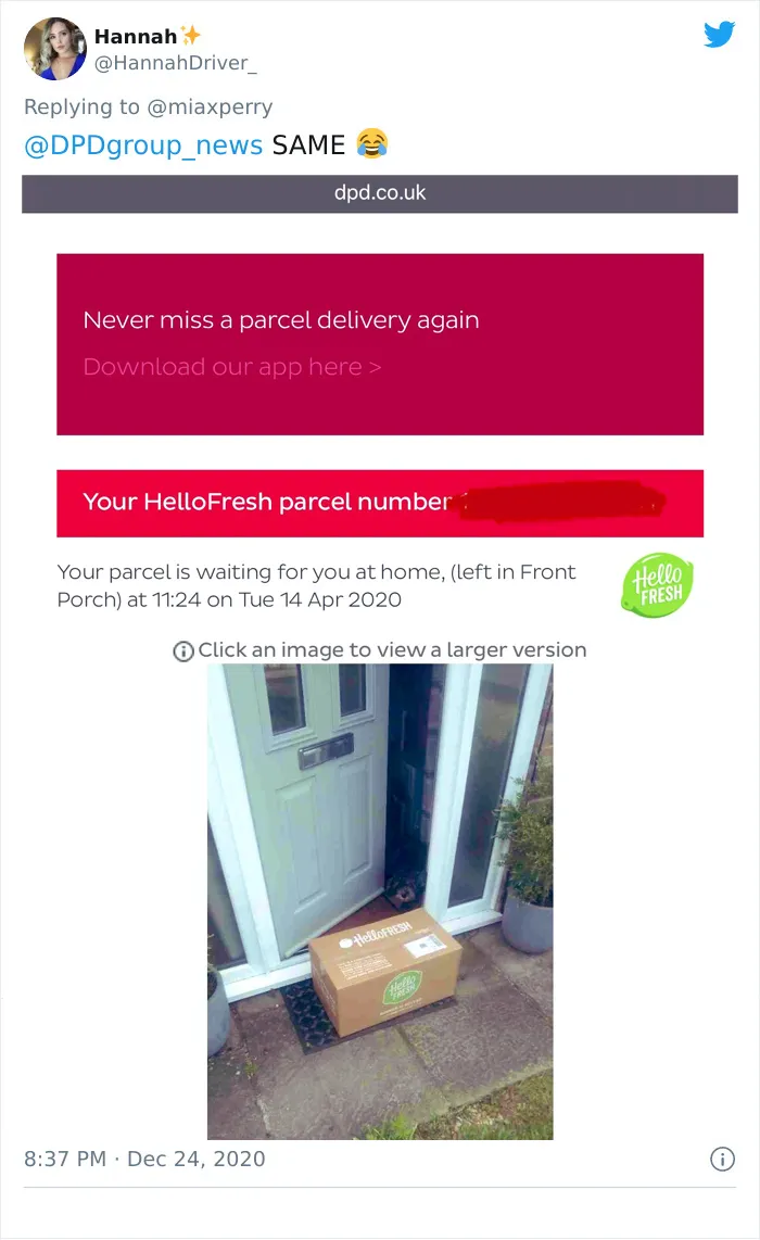 29 Pets Who Surprised Their Owners By "Collecting" Their Delivery
