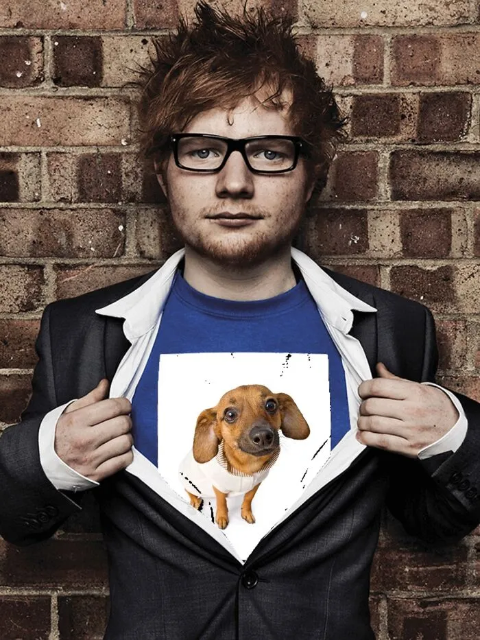 Hey Pandas, Photoshop This Dog The Funniest Way Possible (Closed)