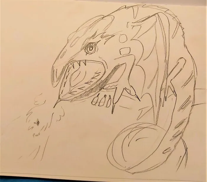 Been Awhile Since I've Drawn A Dragon So I Based My Little Guy Off Of A Chameleon