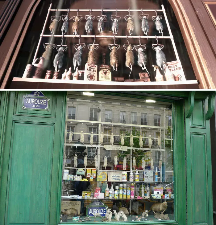 The Shop With Dead Rats In The Window Is Based On A Real-Life Shop In Paris, France, Called Aurouze