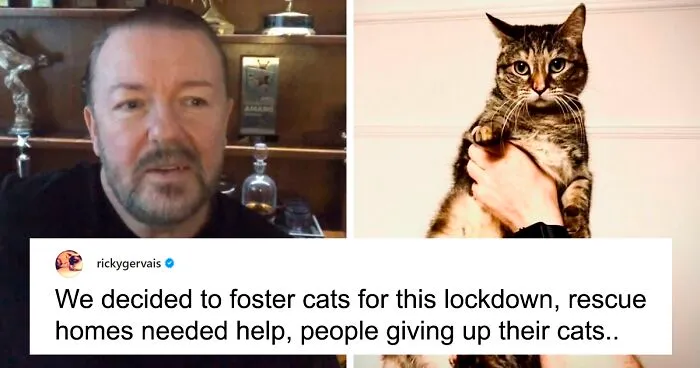 Ricky Gervais Attempts To Foster A Cat But Ends Up Adopting Her And She's Taking Over His Feed