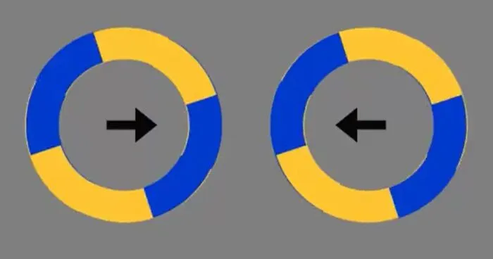An Optical Illusion Where Circles Seemingly Move Out Of Place Has Become An Internet Sensation