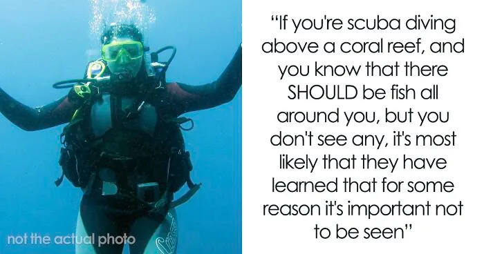 30 Of The Scariest And Creepiest Theories Shared By People On Reddit In A Viral Thread