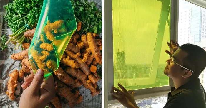 27-Year-Old Student Creates Solar Panels Made From Food Waste That Can Produce Energy Even On Cloudy Days
