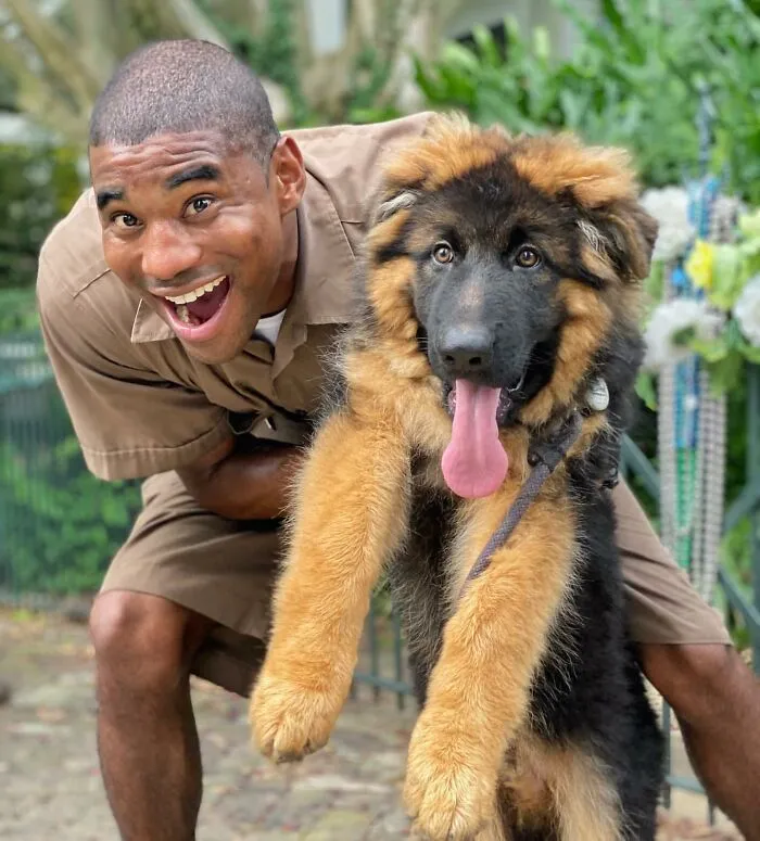 UPS Driver Posts The Adorable Dogs He Meets On Routes And The Internet Is Here For It (30 New Pics)