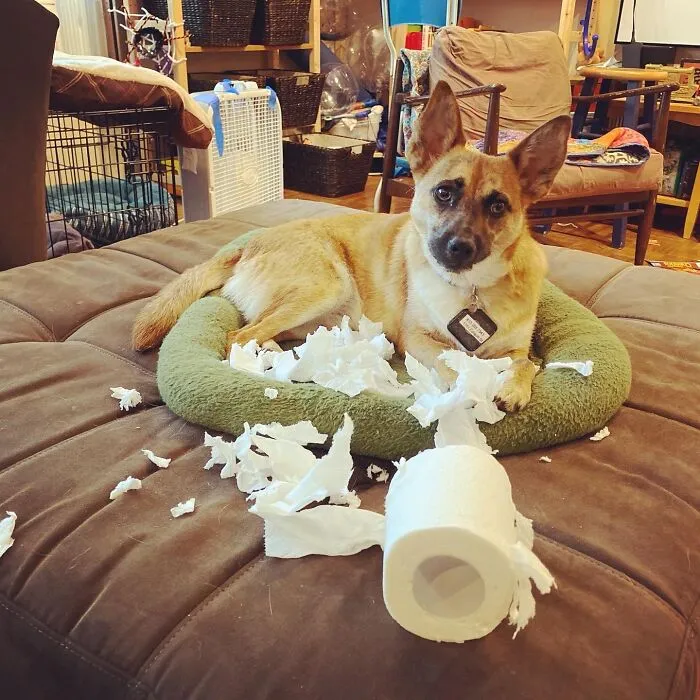 You Didn’t Need This, Right?