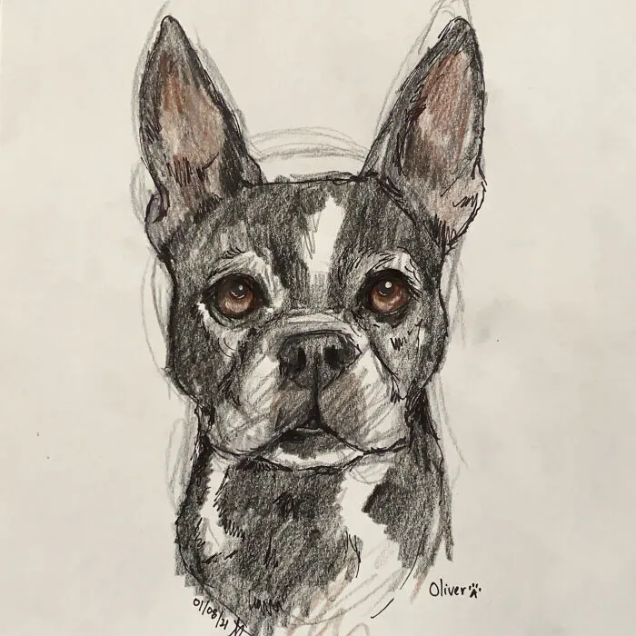 I Draw Pet Portraits On Request And Then Donate The Received Funds To Charity (70 Pics)