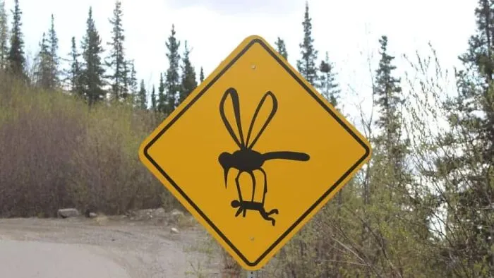 Mutated Mosquitoes