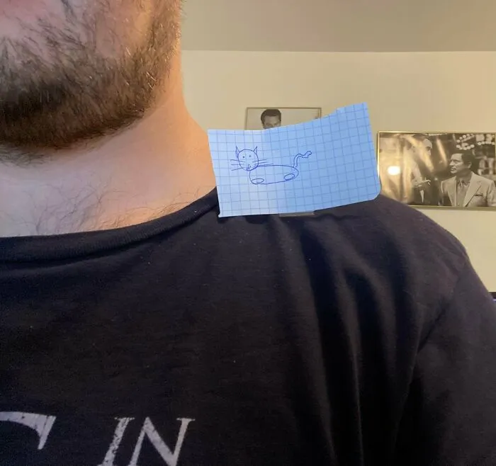 Espero No Llegar Tarde Para El Gato De Hombro