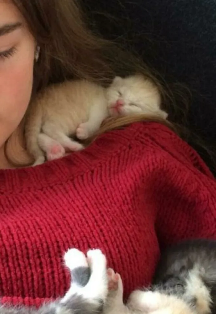 Shoulder Nugget (And A Lap Full Of Beans)