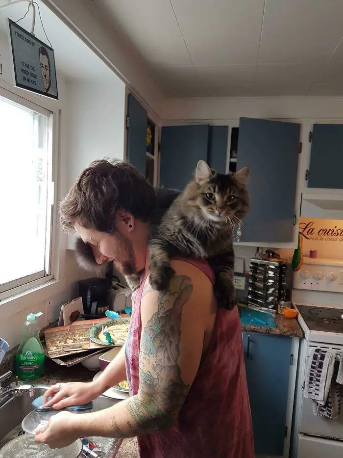 We Raised A Shoulder Cat