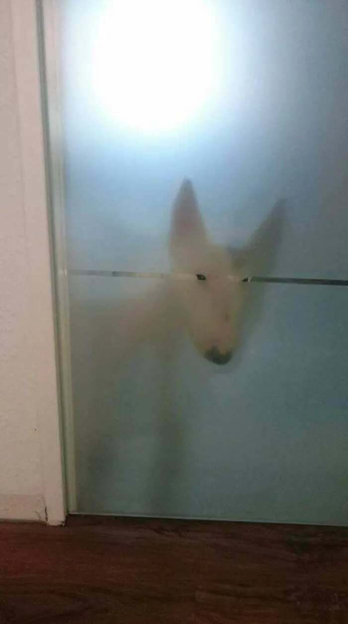 Oh Lawd He Peeping