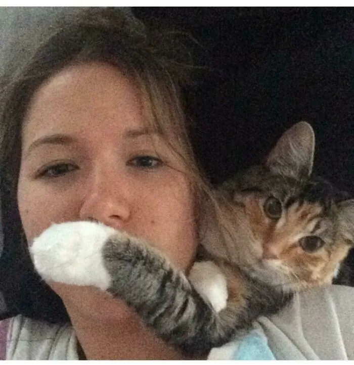 Silencio Humana, Estoy Mirando Los Gatos De Hombro