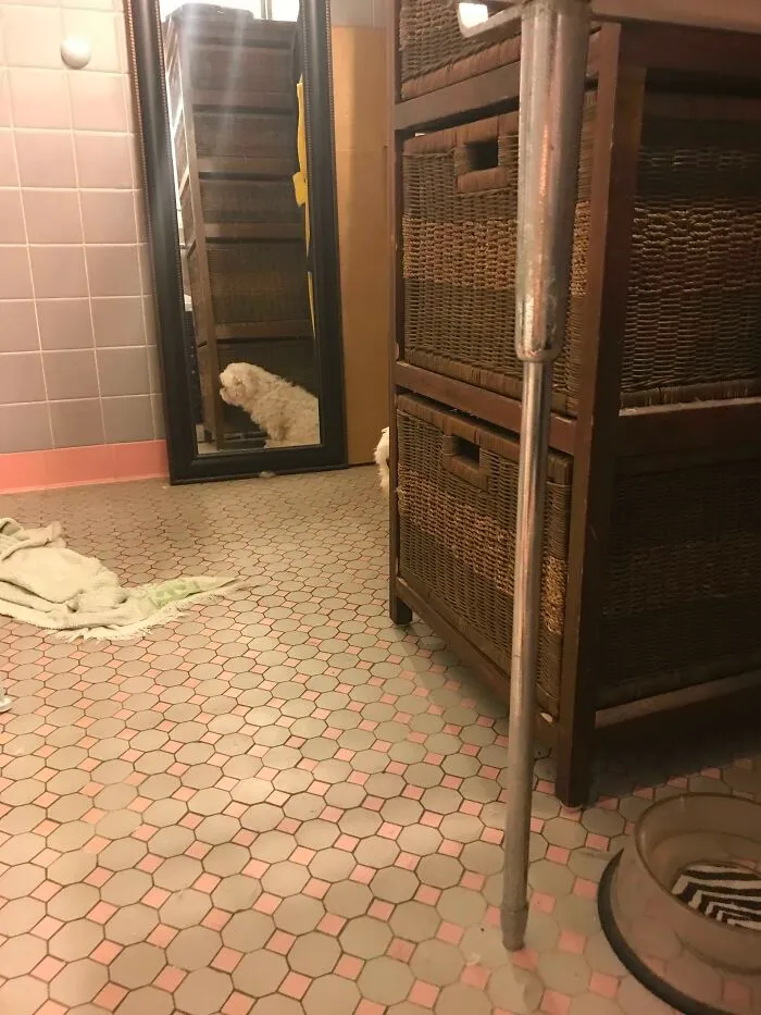 He Thinks I Can't See Him