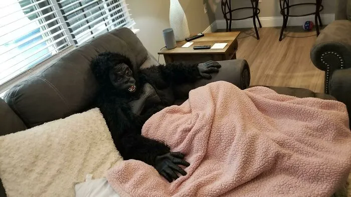 Mi hijo viendo la tele esta mañana