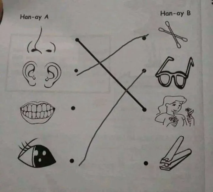 Educación bien