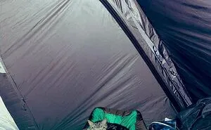 50 Of The Most Wholesome Cat Posts That Warmed Many People's Hearts