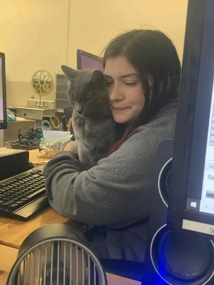 Tuve un mal día en el trabajo y el gato de la clínica vino a reconfortarme
