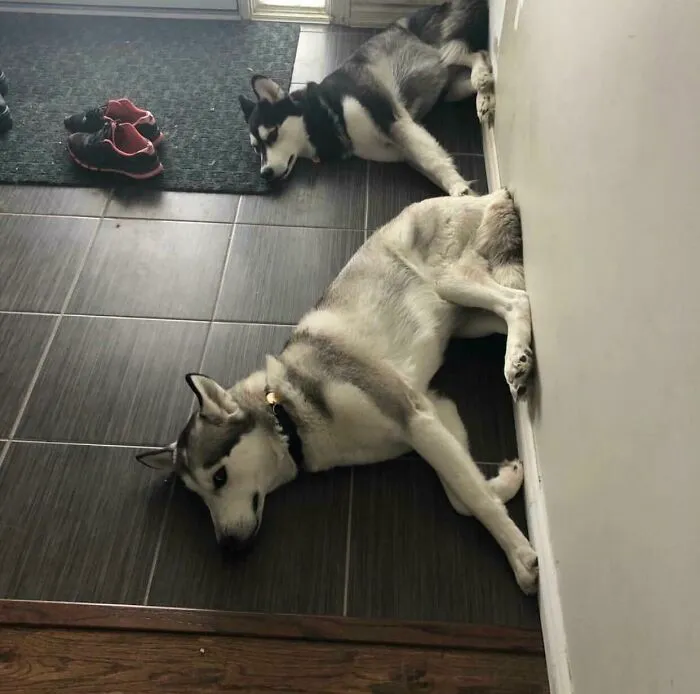 Cuando uno se sienta en la pared, obviamente el otro también tiene que hacerlo