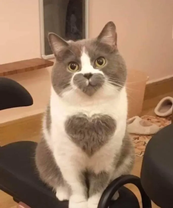 3 corazones