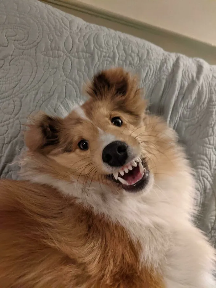 Su cara cuando le digo que la quiero
