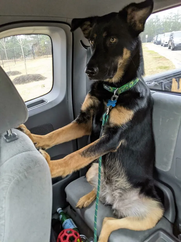 Una paseo en coche muy normal