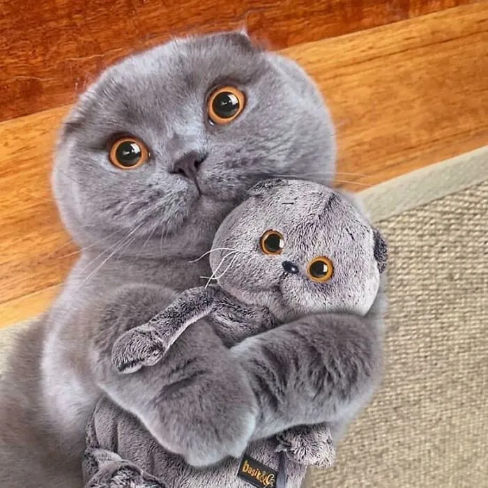 Tiene un peluche de sí mismo