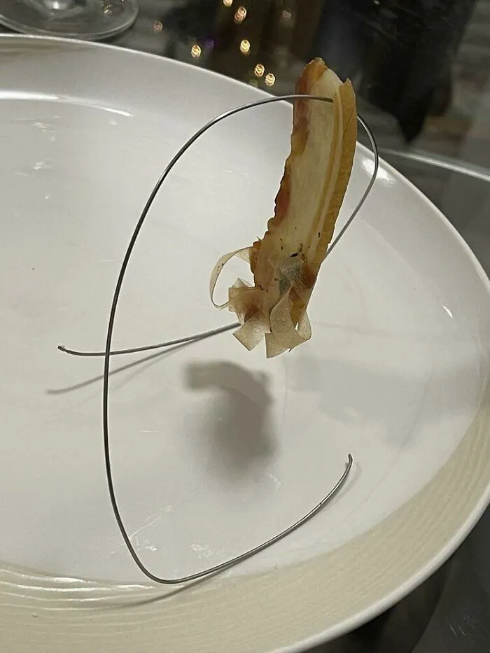 This Is A Take Out Dish - Diners Were Instructed To Plate Like This At Home. Part Of A $115 Tasting Menu