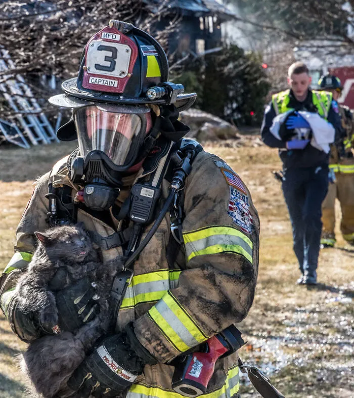 Fireman In My Town Saving A Kitty From A House Fire