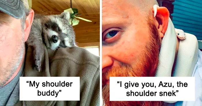 People Are Posting Their "Shoulder Animals", And Here Are 50 Of The Cutest Ones