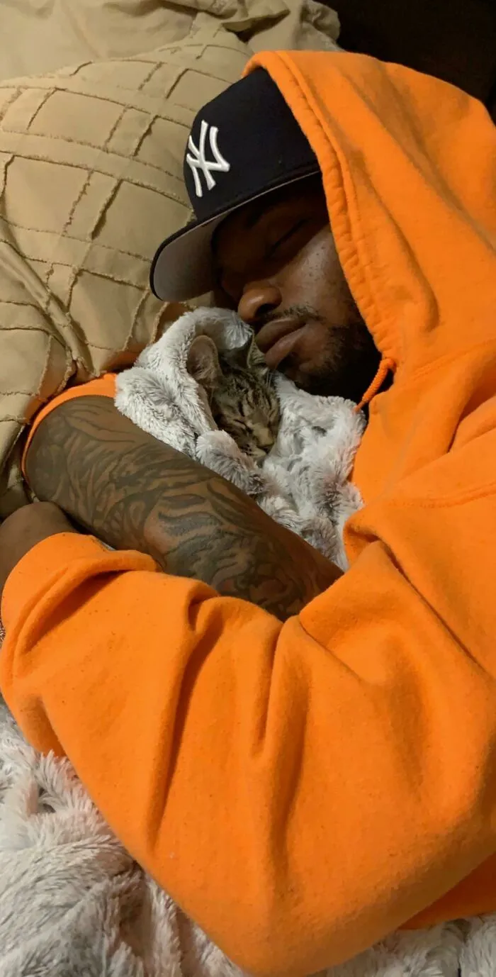 Hace 2 meses decía que no quería un gato
