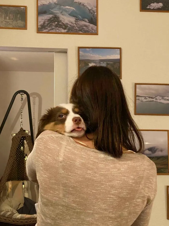 My Puppy Stole My Girlfriend